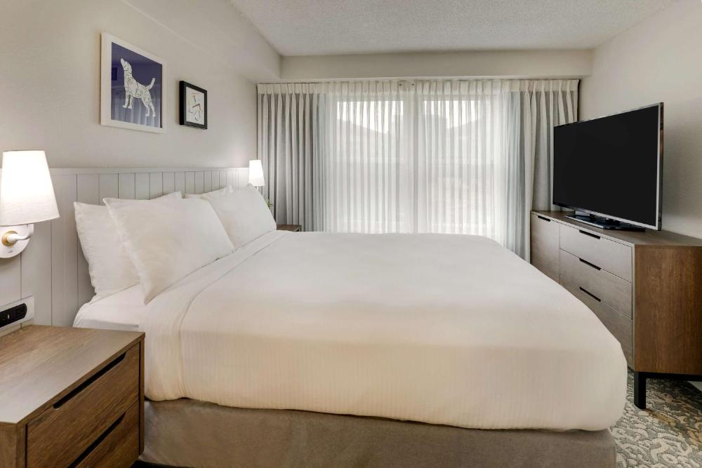 One-Bedroom King Suite interior